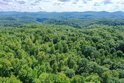 The latest campbell county pva report shows a massive home value jump 5