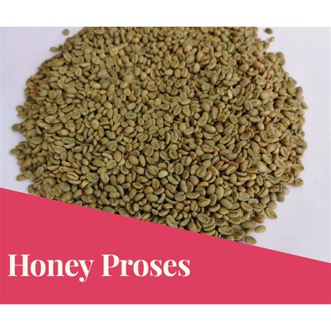 Jual Green Bean Kopi Arabika Gayo Honey Proses Kg Shopee Indonesia