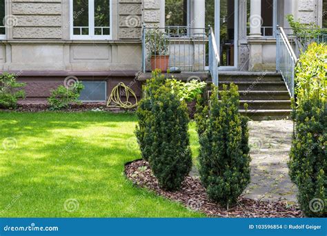 German Parks In May Stock Photo Image Of Curitiba Grass 103596854