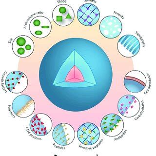 Schematic Illustrations Of Biochemical And Bio Physical Indications