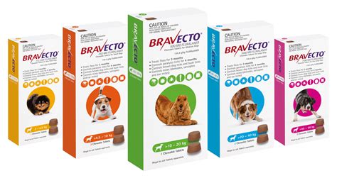 Bravecto Chews for Dogs | Flea and Paralysis Tick Protection
