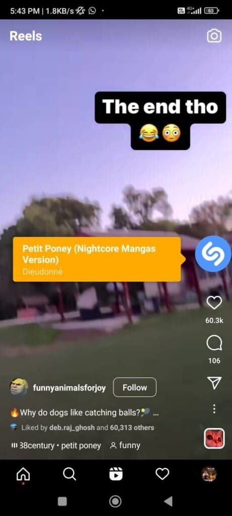 How To Use Shazam Song On Instagram Techcult