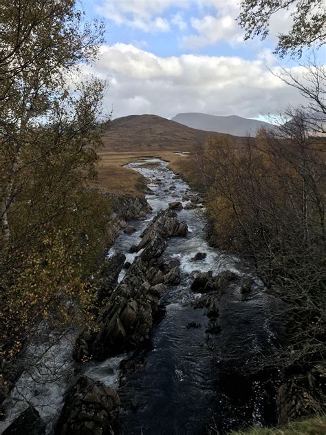 Moor Of Rannoch 8