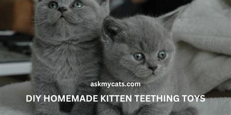 DIY Homemade Kitten Teething Toys