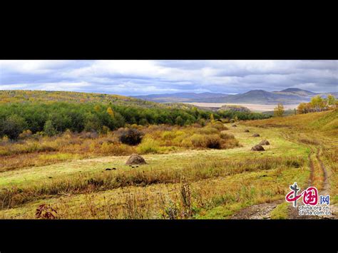 The Greater Khingan Range In Autumn China Org Cn