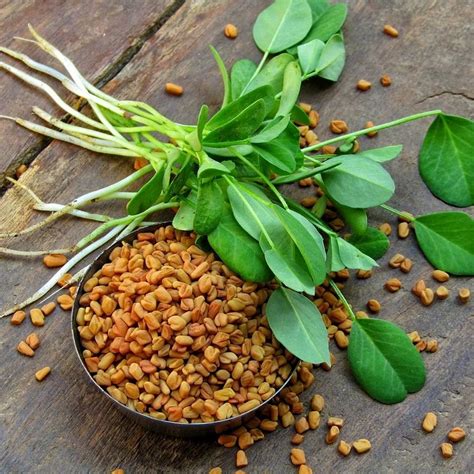 rara brown methi seeds  rs kg  jaipur id