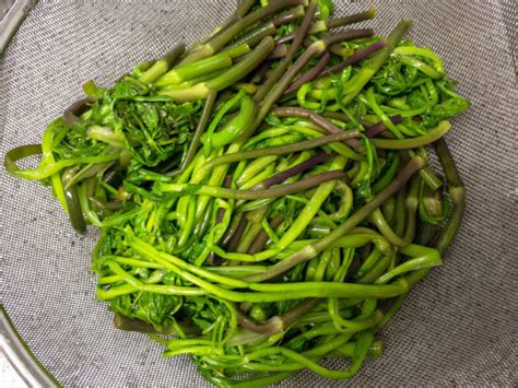 10+ Minari Plant Stock Photos, Pictures & Royalty-Free Images - iStock