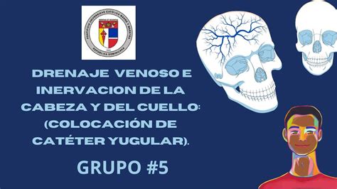 Drenaje Venoso Wasmary Rodriguez Udocz