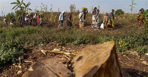 The Forgotten War In Congo