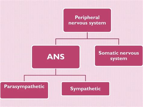 cholinergic  anticholinergics