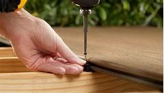 Could Usain Bolt Outrun A Trex