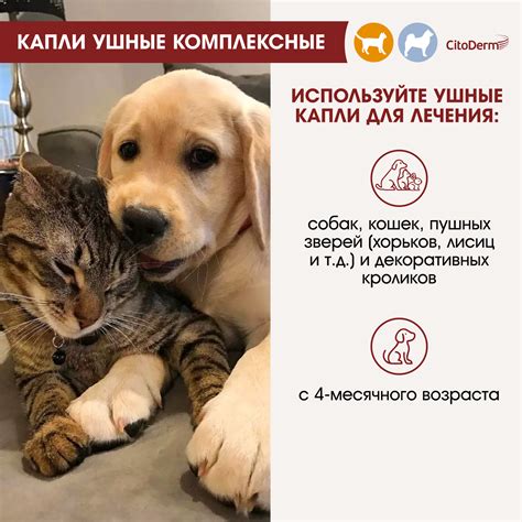 Капли ушные для животных CitoDerm комплексные 10мл купить по цене 738 ...