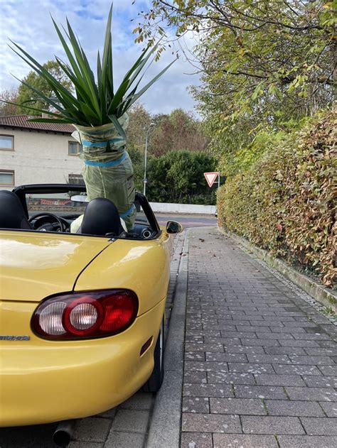 Most Practical Car Ever Rmiata