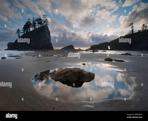 Landscape With Beach And Cliffs Second Beach Olympic National Park