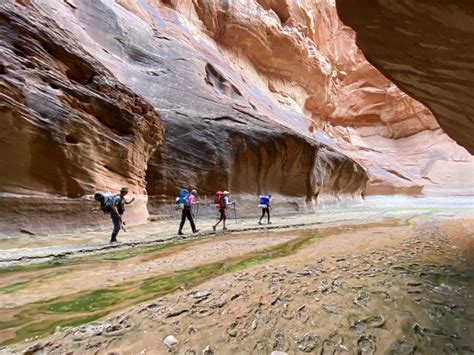 Guided Hiking through the Paria Canyon, UT | 57hours