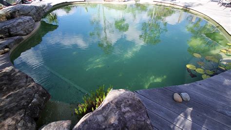 NATURAL OASIS - Landforms Landscaping and Natural Pools Sydney