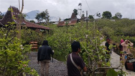 Wisata Dusun Kuliner Menikmati Kuliner Tradisional Di Tengah Kebun