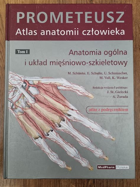 Prometeusz Atlas Anatomii Czlowieka Gdansk Kup Teraz Na Allegro