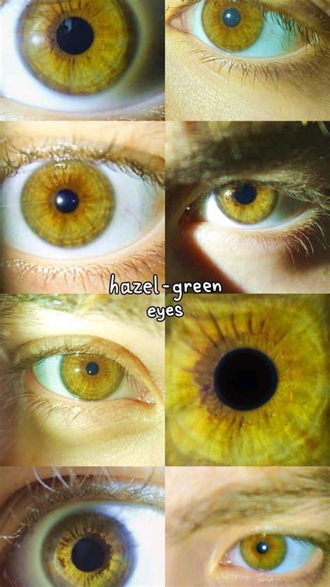 hazel eyes beautiful eyes color hazel eyes hazel green eyes
