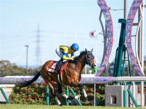 【金鯱賞】売上は62億8747万8000円で昨年より約1億円増加 競馬ニュース Netkeiba