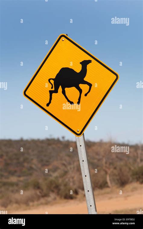 Camel Warning Hi Res Stock Photography And Images Alamy