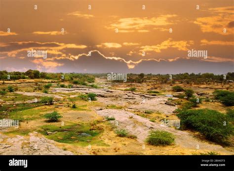 Semi desert scrub vegetation hi-res stock photography and images - Alamy