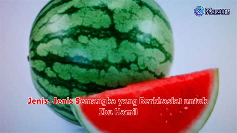 Manfaat Buah Semangka Untuk Ibu Hamil Life Style