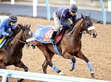 【オークス】桜花賞馬ステレンボッシュは4枠7番 武豊騎手騎乗のスウィープフィートは7枠13番 枠順決定 Umatoku 馬トク