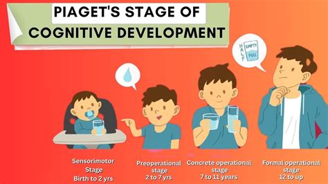 Piaget S Stage Of Cognitive Development Sensorimotor