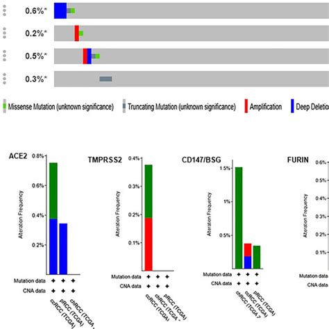 Distribution Of Genetic Alterations In ACE2 TMPRSS2 CD147 BSG And