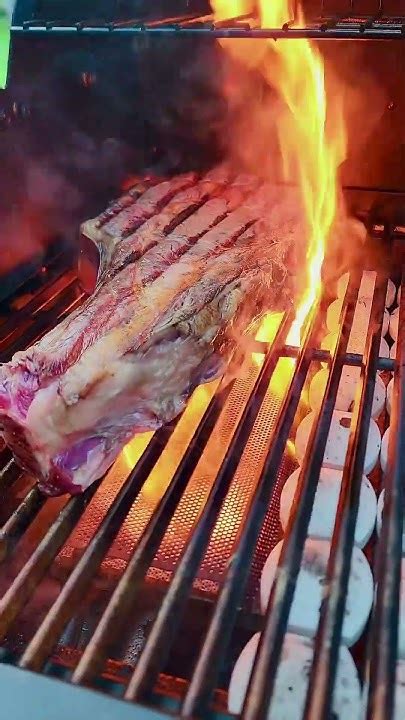 ИК горелка 800’C - запечатывает соки внутри продукта, создавая румяную ...