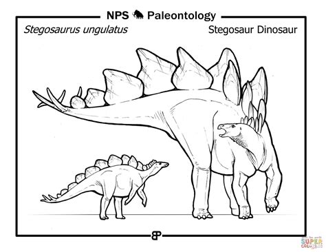 Stegosaur Dinosaur Stegosaurus Ungulatus Coloring Page Free