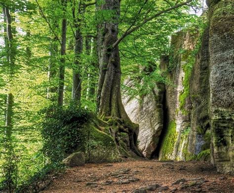 Schweibenalp Zentrum Der Einheit