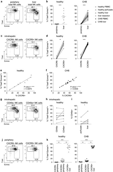 The Liver Contains A Distinct T Bet Lo Eomes Hi NK Cell Subset