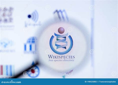 New York Usa 29 September 2020 Wikispecies Company Website With
