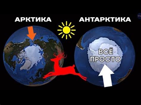 АРКТИКА и АНТАРКТИКА в чем РАЗНИЦА просто и понятно - YouTube