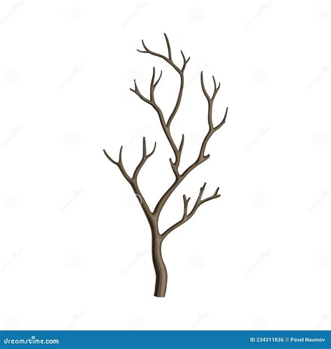Bare Tree Branch Or Twigs With Naked Stem And Snag Vector Illustration Stock Vector