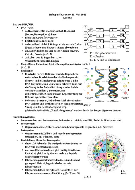 Biologie Klausur Zum Thema Genetik Warning Tt Undefined Function