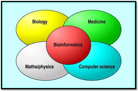 Scope and Applications of Bioinformatics - Aneknowledge.com 