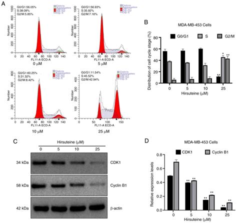 Effects Of Hirsuteine On MDAMB453 Breast Cancer Cell Proliferation