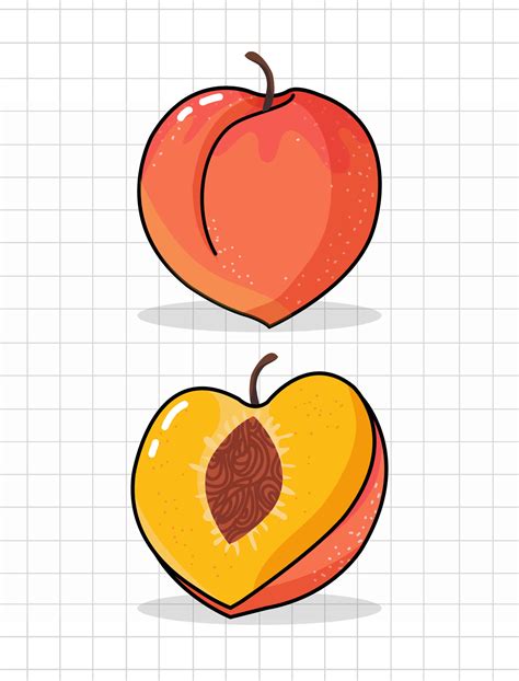 Peach Fruit Illustration 30771680 Vector Art at Vecteezy