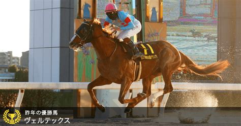 名古屋グランプリ Jpnii 2022｜特集おトク情報楽天競馬