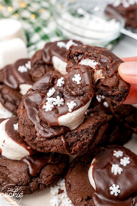 Hot Cocoa Cookies Fun Cookie Recipes
