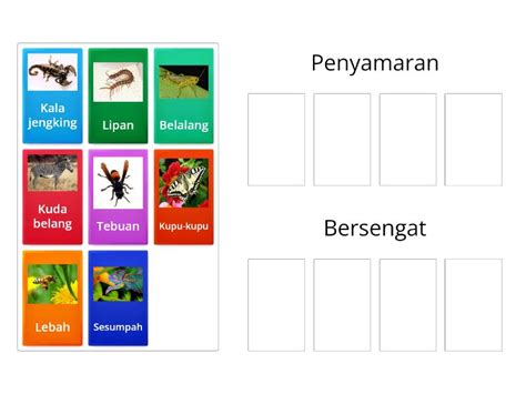 Ciri Ciri Khas Haiwan Melindungi Diri Pengurutan Grup