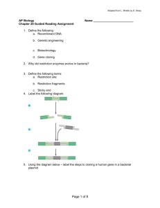 Chapter Guided Reading