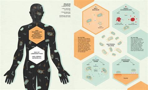 Bacteria In The Human Body (Infographic) | Infographic, Infographic ...