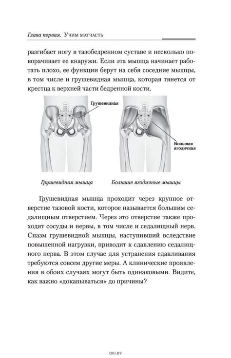 Купить Практическая кинезиология: как перевоспитать мышцы-халтурщицы ...
