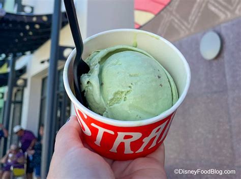 We Ate BUGS in Disney World 😳 - Disney by Mark