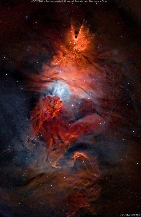 Ngc Albero Di Natale E Nebulosa Cono Coelum Astronomia