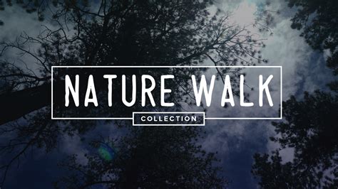 Nature Walk Collections Shift Worship